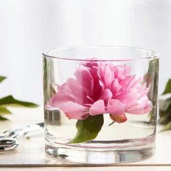 35.75 oz Libbey Capstan Cylinder Candle Bowl | 16 Pack<Jar Store Sale